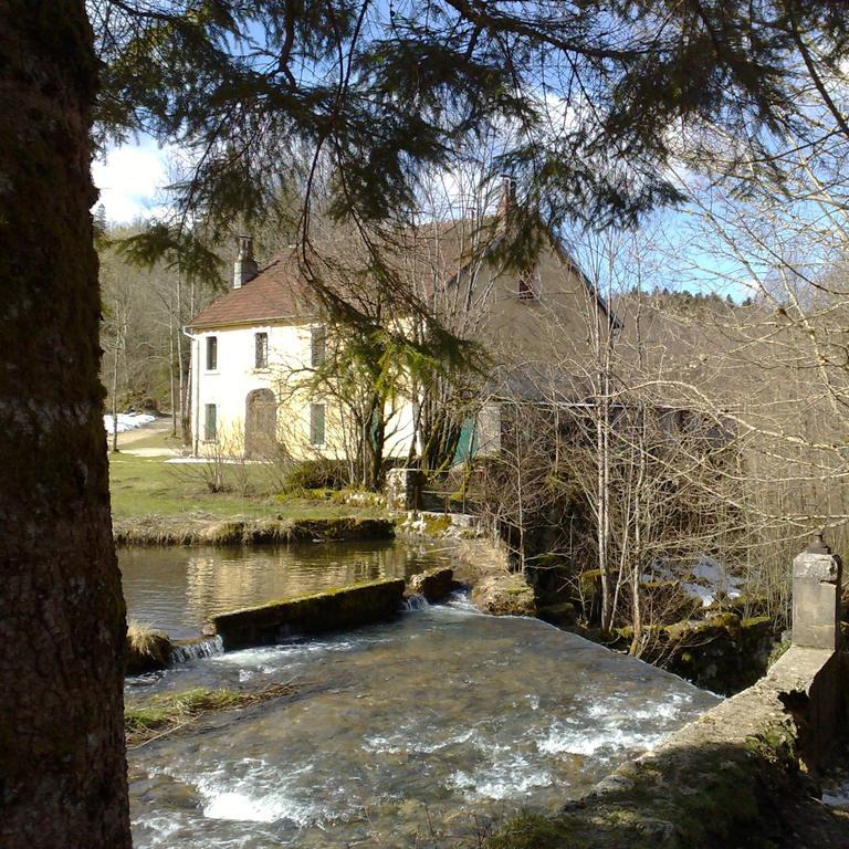 Au Moulin Des Fees - Maison D'Hotes Cascades Du Herisson Bonlieu Buitenkant foto