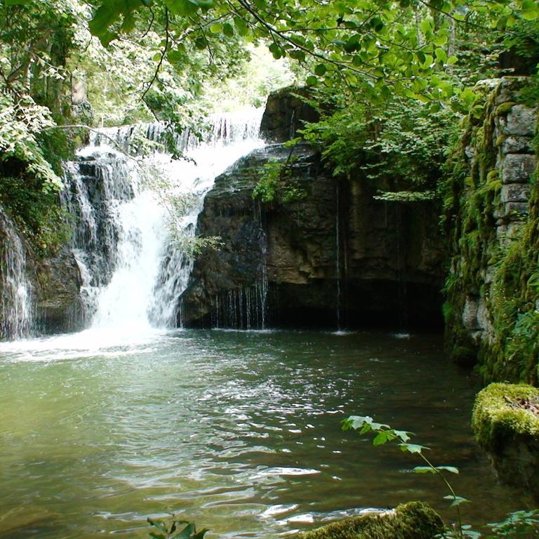 Au Moulin Des Fees - Maison D'Hotes Cascades Du Herisson Bonlieu Buitenkant foto