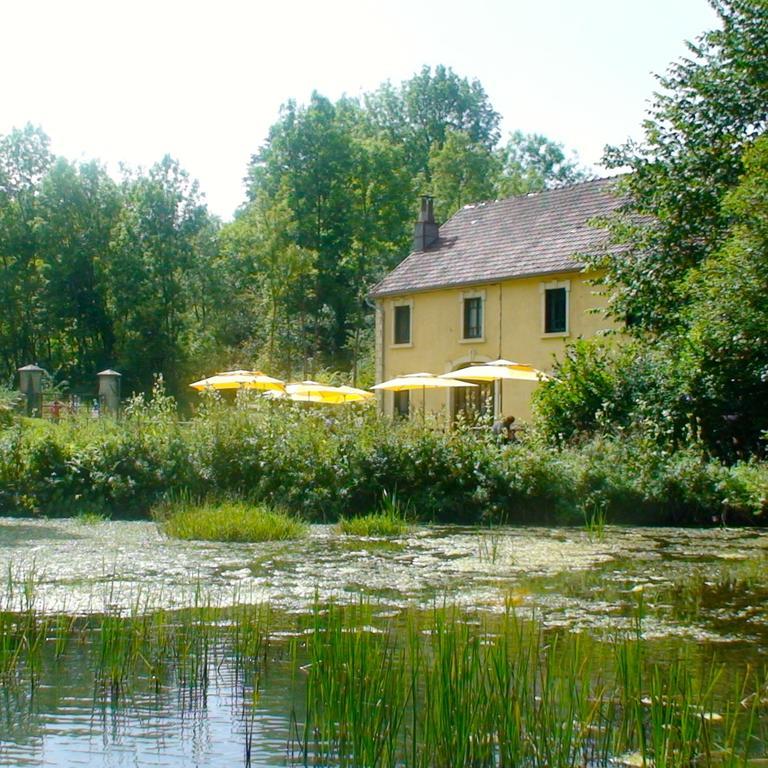 Au Moulin Des Fees - Maison D'Hotes Cascades Du Herisson Bonlieu Buitenkant foto