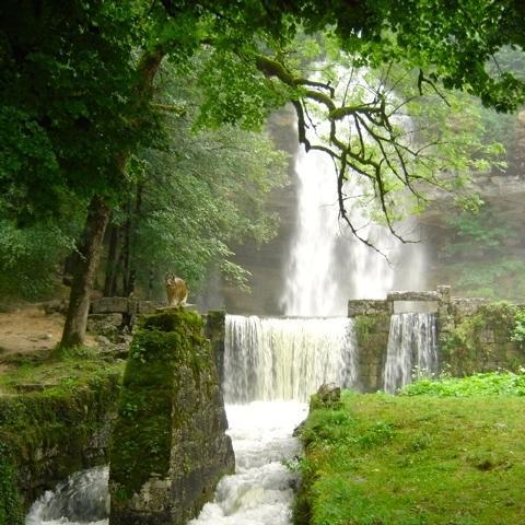 Au Moulin Des Fees - Maison D'Hotes Cascades Du Herisson Bonlieu Buitenkant foto